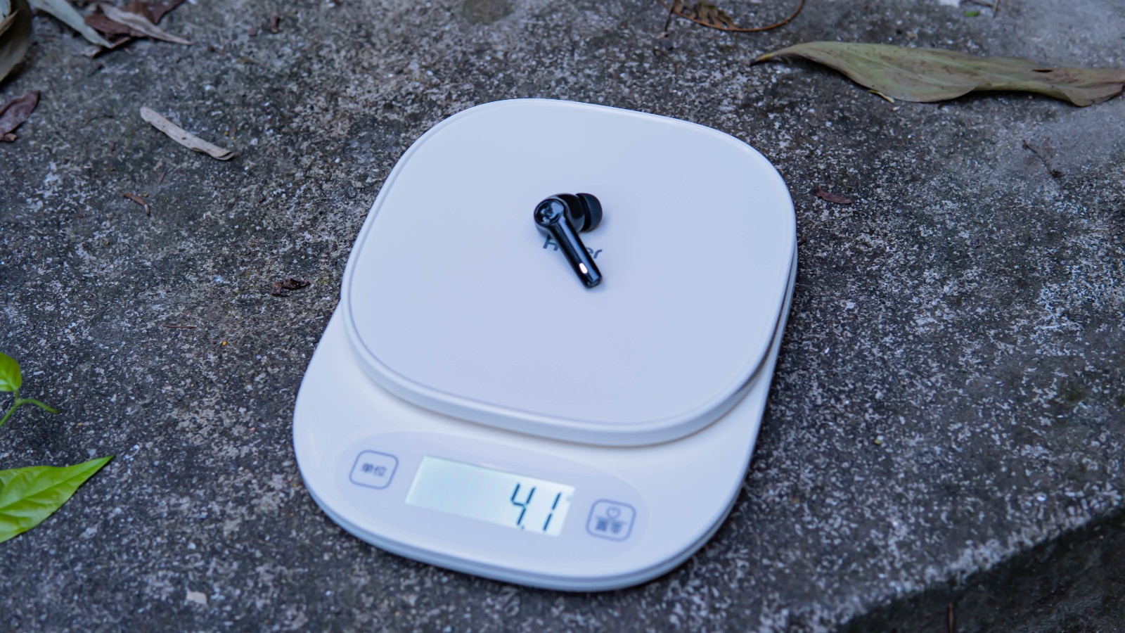 1635346495720168.jpg 1635346495720168.jpg