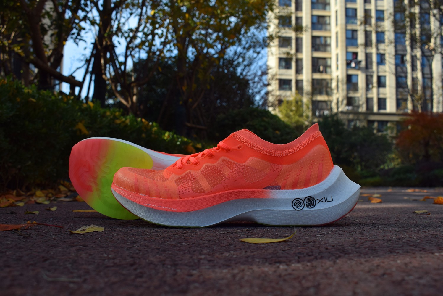 1639400231608603.jpg 1639400231608603.jpg