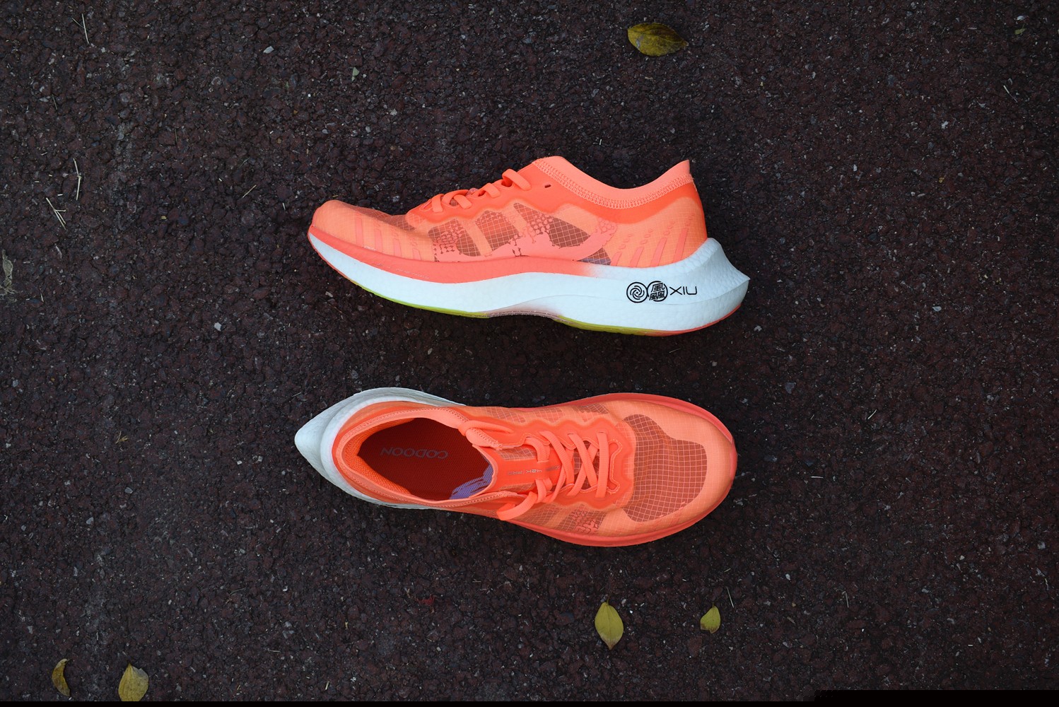 1639400231879755.jpg 1639400231879755.jpg