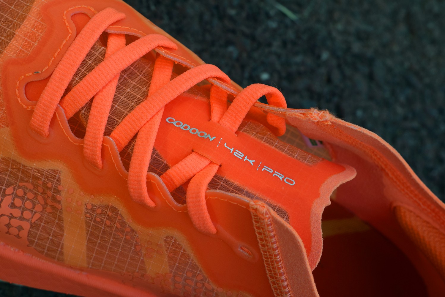 1639400314468441.jpg 1639400314468441.jpg