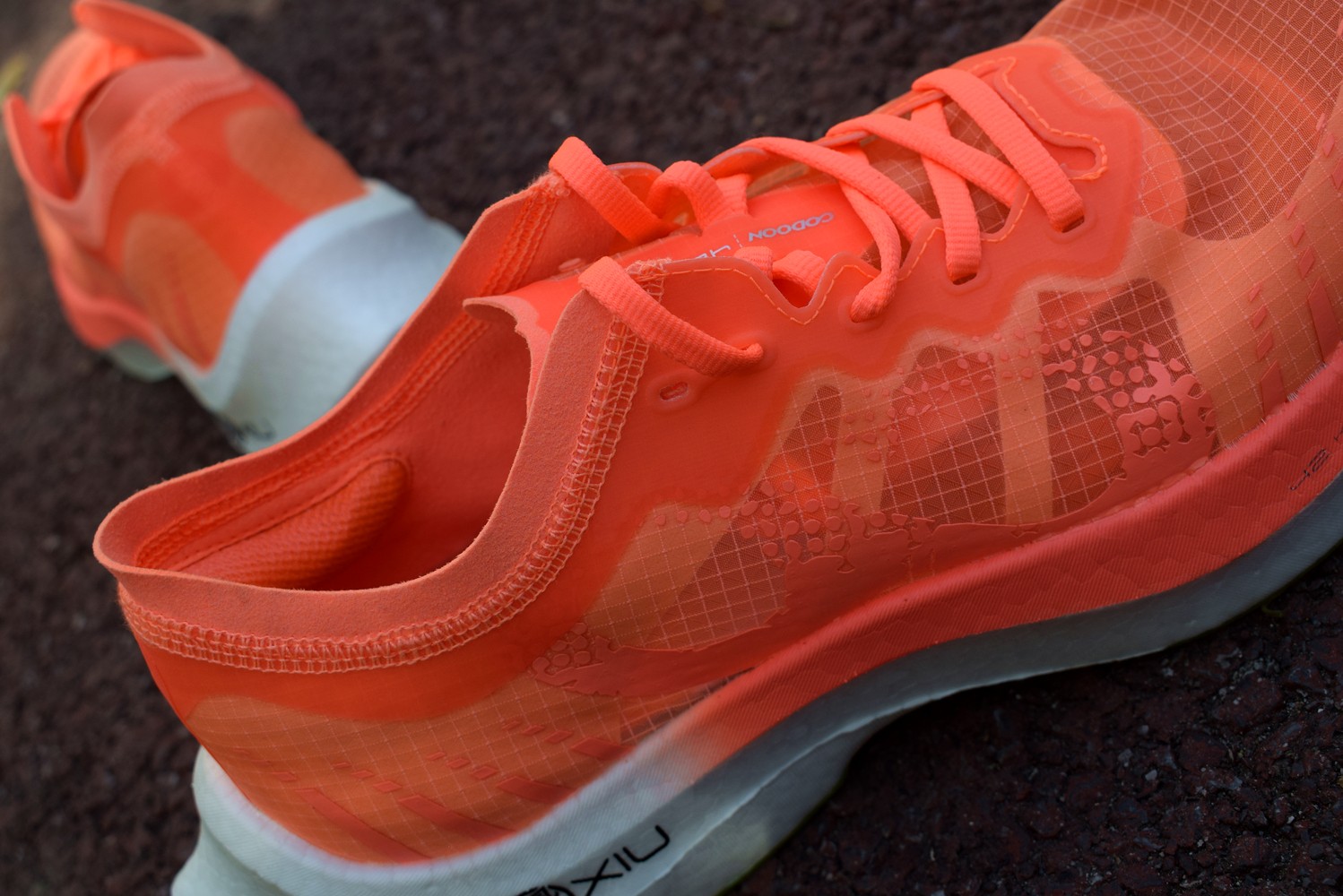 1639400314664828.jpg 1639400314664828.jpg