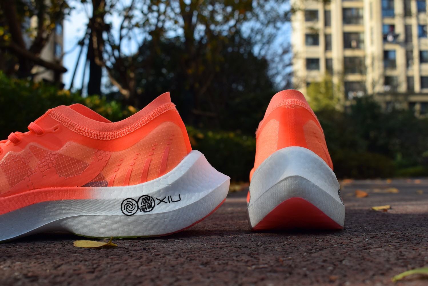 1639400380179451.jpg 1639400380179451.jpg