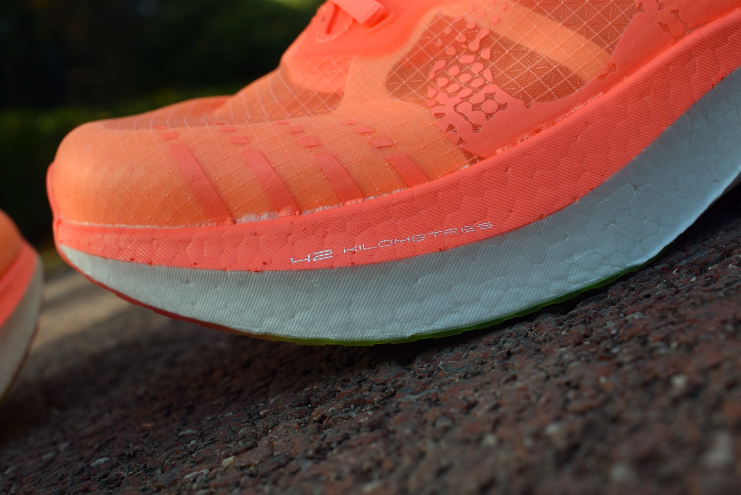 1639400380945083.jpg 1639400380945083.jpg