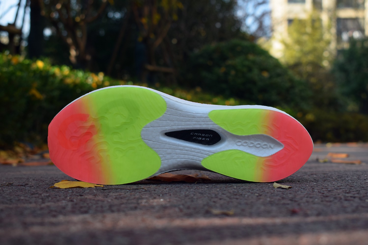 1639400403466440.jpg 1639400403466440.jpg