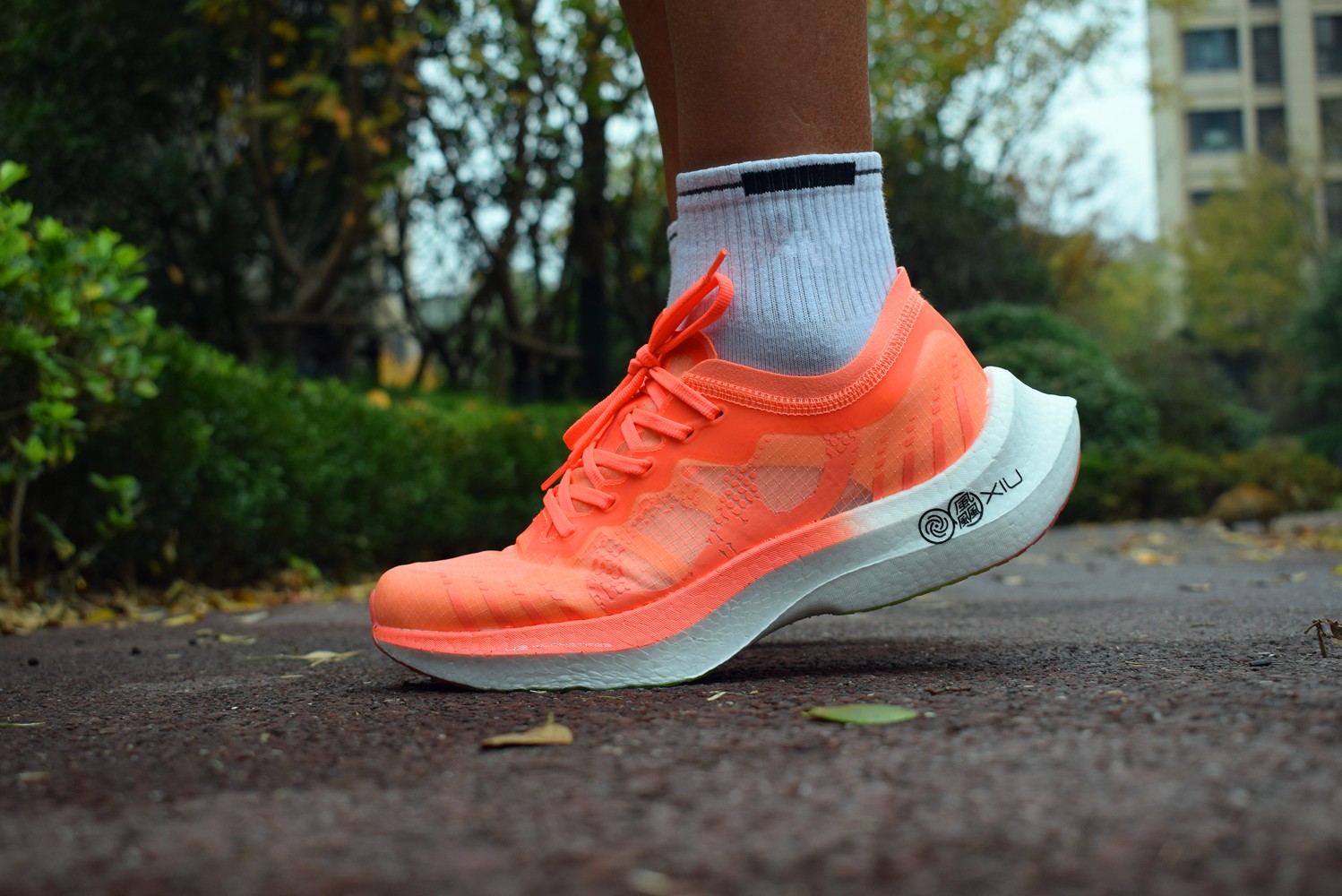 1639400456128353.jpg 1639400456128353.jpg