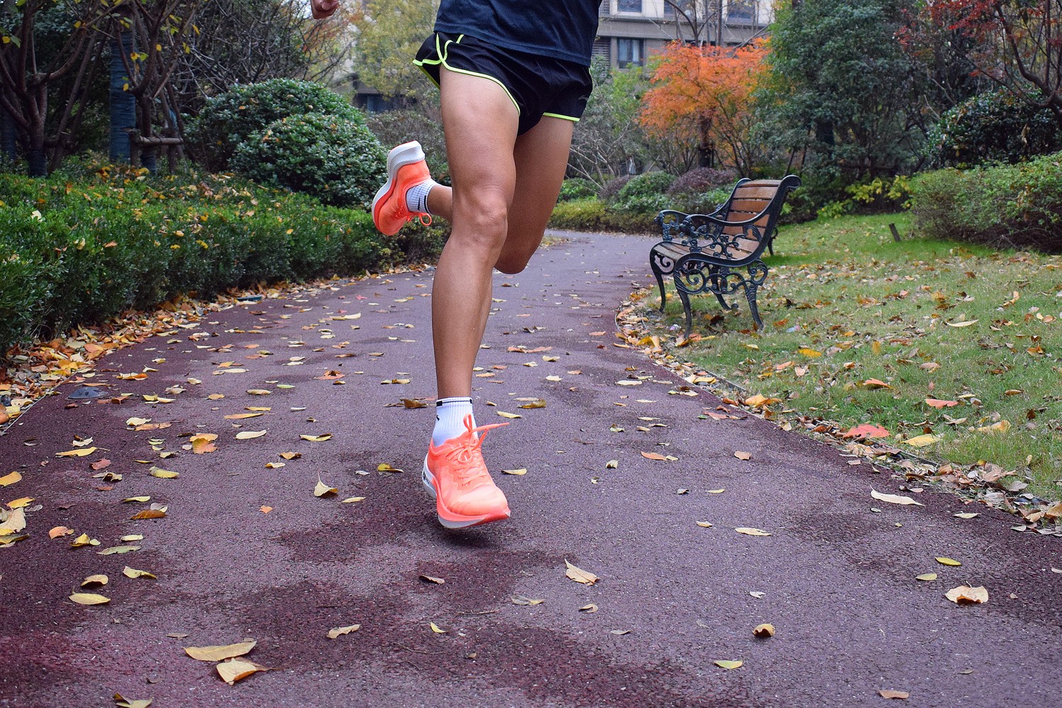 1639400457354561.jpg 1639400457354561.jpg