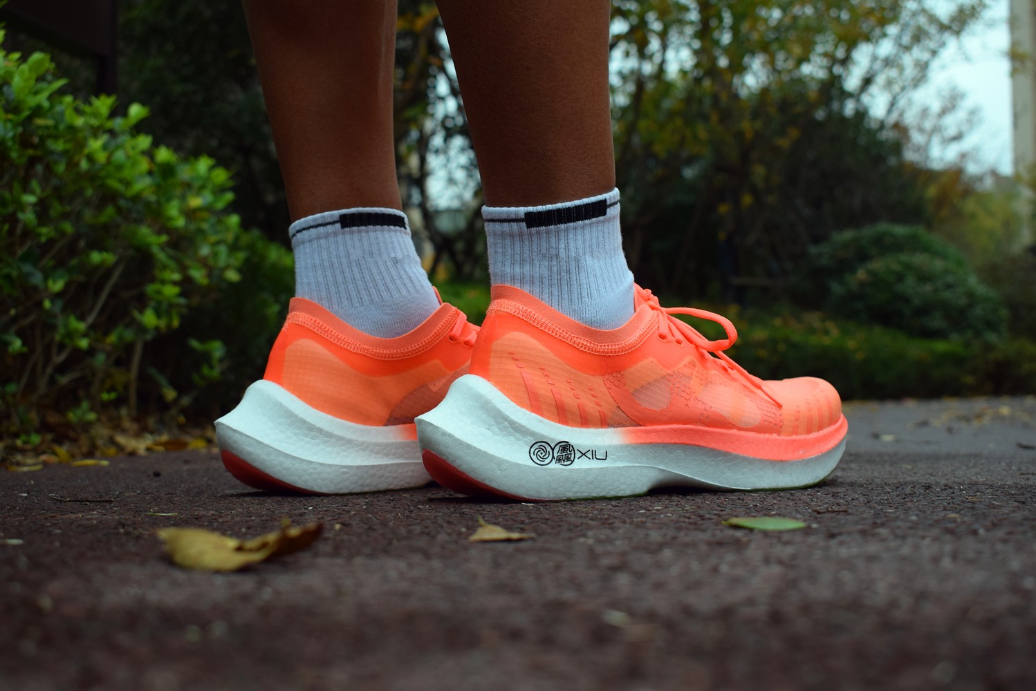 1639400527558148.jpg 1639400527558148.jpg